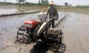 شخم زمستانه در ۸۵ هزار هکتار از شالیزارهای گیلان