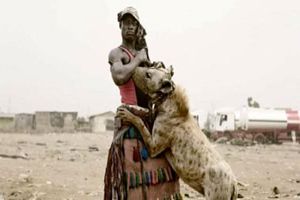 «مبارزه با کفتارها»؛ راه و رسم عجیب قبیله‌ای در نیجریه/ تصاویر