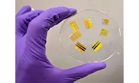 خالکوبی موقت هوشمندی که می‌درخشد