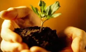 طرح حمایت از ایده‌های کارآفرینی تا سقف ۵۰۰ میلیون تومان، وارد مرحله سوم اجرایی شد