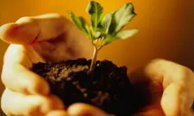 طرح حمایت از ایده‌های کارآفرینی تا سقف ۵۰۰ میلیون تومان، وارد مرحله سوم اجرایی شد