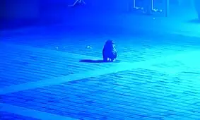 شکستگی لگن کودک ۶ ساله پس از انداختن ترقه در چاه/ ویدئو