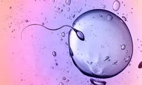 تاثیر مواد شیمیایی موجود در محیط بر تعداد اسپرم‌ها