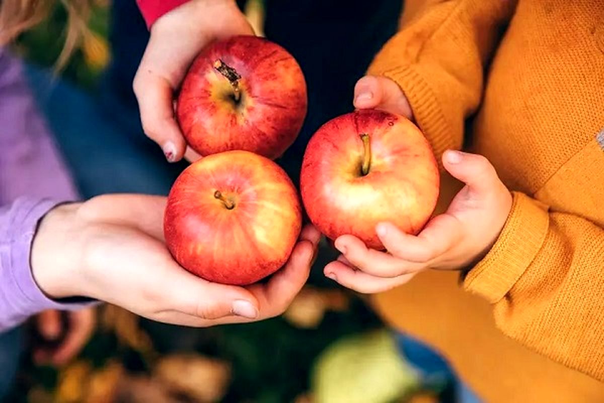 چگونه سیب به کاهش وزن شما کمک می‌کند؟