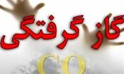 قاتل خاموش جان ۱۷ همدانی را گرفت