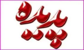 آخرین وضعیت پدیده شاندیز از زبان دادستان مشهد/ 8 نفر بازداشت هستند