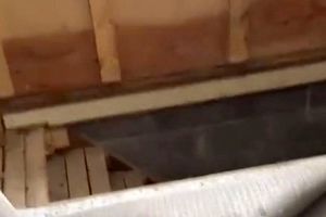 حیرت زن خریدار از کشف راه مخفی عجیب یک خانه در زیر فرش!/ ویدئو