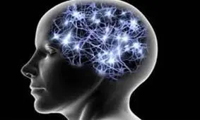 درمان بیماری‌های عصبی با افزایش سلول‌های بنیادی مغز