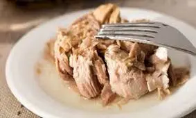 طرز تهیه روش تهیه تن ماهی خانگی