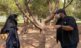 تبیین مهارت آموزی کودکان کار به روایت «شکلات تلخ»