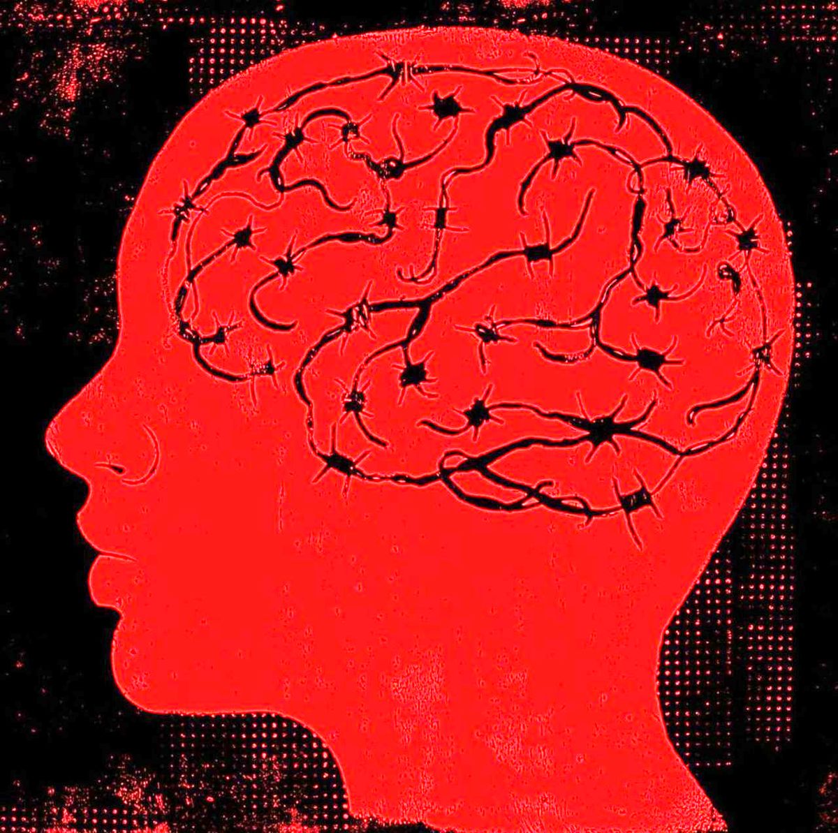 مفهوم روشنفکری چیست؟ / تفاوتهای شارلاتانیزم و انتقادگری در سیاست