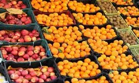آغاز ذخیره سازی ۷۵۰ تن میوه شب عید در سردخانه‌های کرمانشاه
