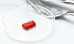تولید استیک با گوشت آزمایشگاهی شبیه به گوشت واقعی