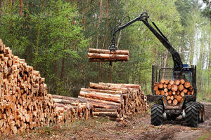 افزایش ۳۳ درصدی کشفیات چوب قاچاق در زنجان
