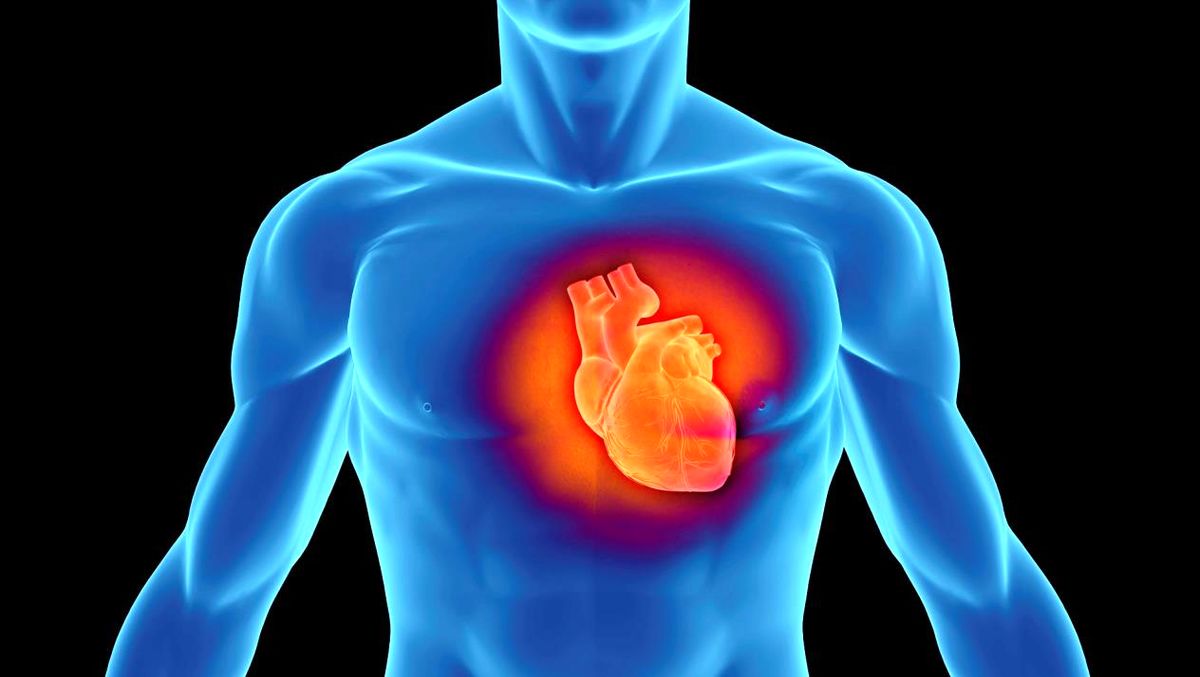ویروس کرونا سلول‌های عضلات قلب را نابود می‌کند
