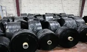 صنایع البرز حمایت زیست‌محیطی می‌شوند