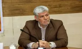 عامل تحرکات ضد امنیتی در بافت دستگیر شد