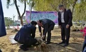 توزیع رایگان بیش از ۲۰۰۰ اصله نهال به مناسبت روز درختکاری در قشم