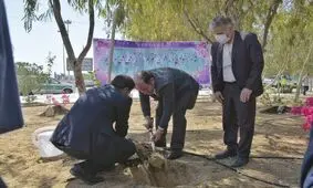 توزیع رایگان بیش از ۲۰۰۰ اصله نهال به مناسبت روز درختکاری در قشم