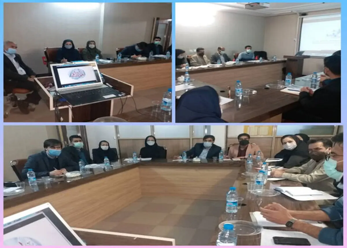 برگزاری نشست طرح ملی توسعه مشاغل خانگی در سیستان و بلوچستان