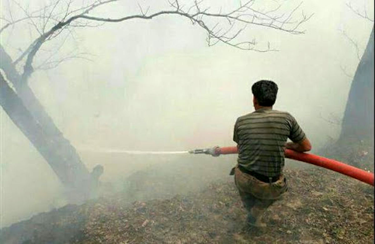 آتش‌سوزی جنگل‌های رامسر در حاشیه امن سکوت
