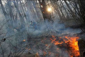احتمال آتش‌سوزی جنگل‌های گلستان در روزهای آینده