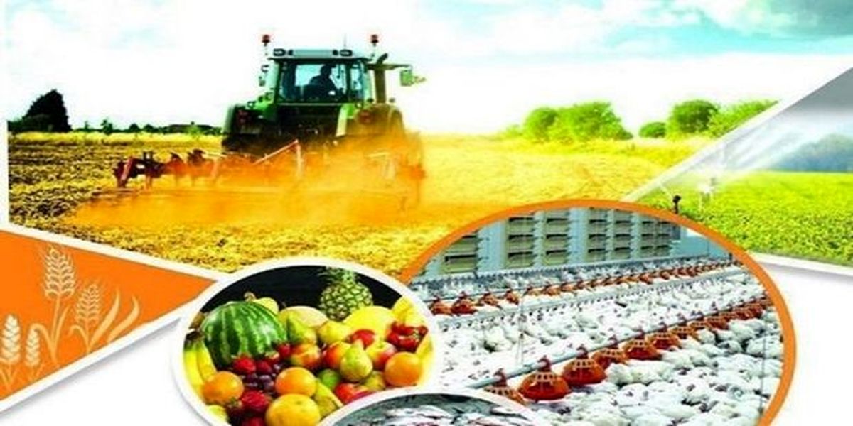 تولیدات کشاورزی کرمانشاه از مرز 5 میلیون تُن گذشت