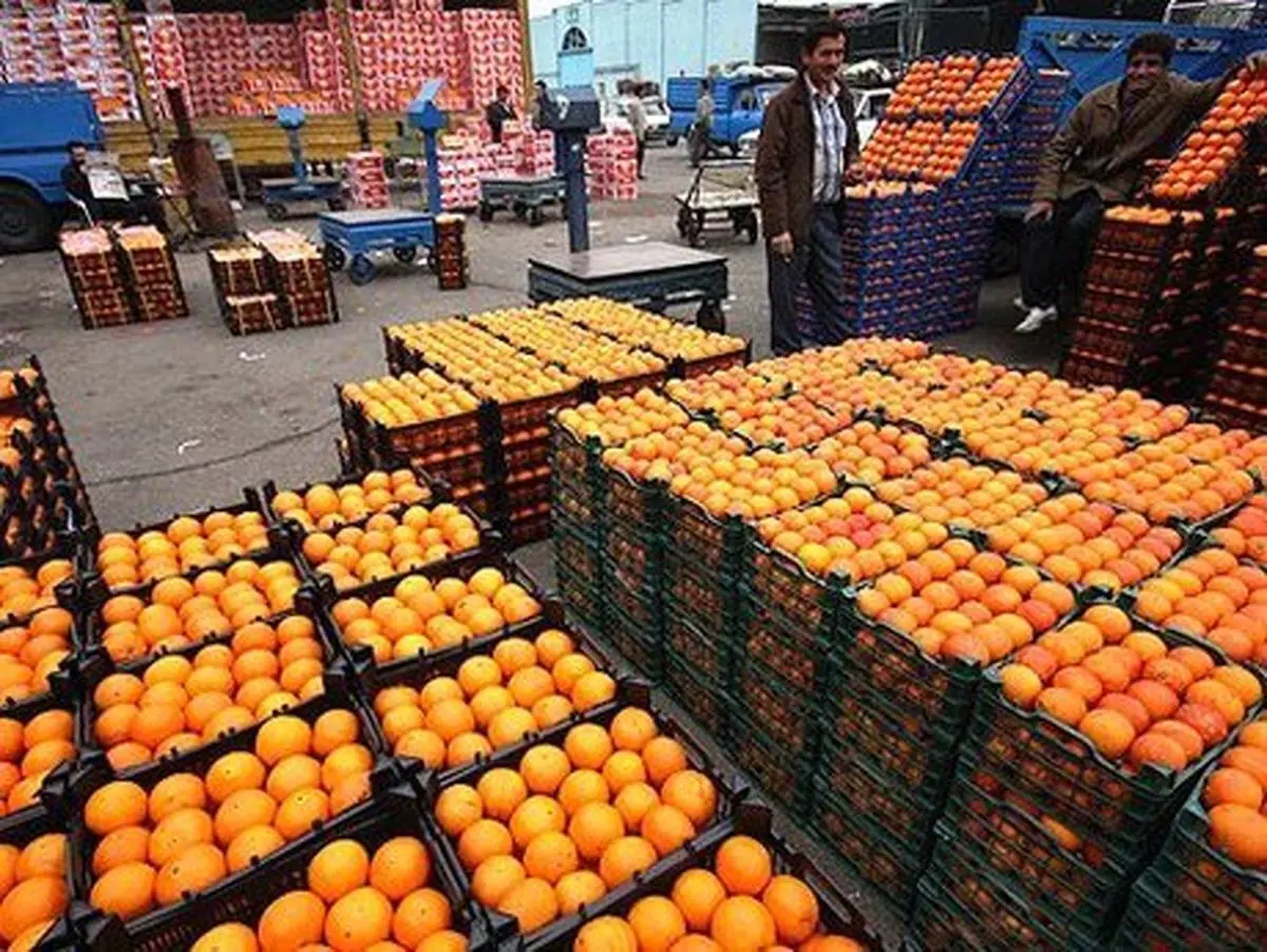 علت گرانی پرتقال چیست؟/ ویدئو