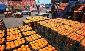 علت گرانی پرتقال چیست؟/ ویدئو