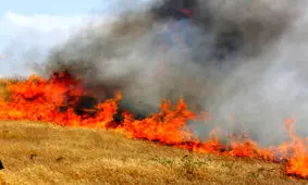 برخورد با عاملان سوزاندن نیزارهای اترک خراسان شمالی افزایش می‌یابد