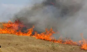 برخورد با عاملان سوزاندن نیزارهای اترک خراسان شمالی افزایش می‌یابد
