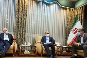 استاندار: وزیر نفت نسبت به تامین خوراک پتروشیمی گلستان متعهد شد