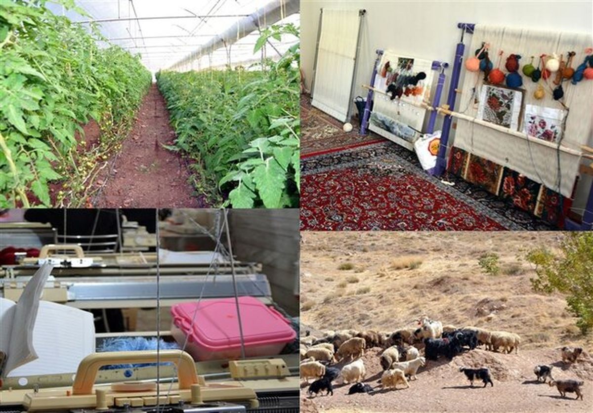 اشتغال بیش از ۱۲ هزار نفر در آذربایجان غربی با تسهیلات اشتغال پایدار روستایی