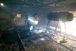 ۱۵۰۰ قطعه مرغ در آتش‌سوزی مرغداری پلدشت تلف شدند