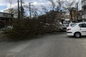 تندبادها در مسیر نصف جهان/ دستگاه های کمک رسان آمادگی های لازم را دارند