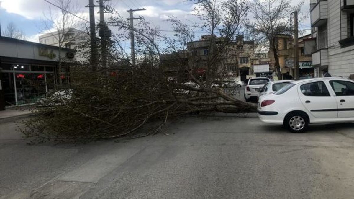 تندبادها در مسیر نصف جهان/ دستگاه های کمک رسان آمادگی های لازم را دارند