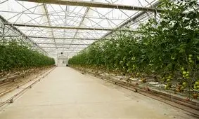 بزرگ‌ترین مجموعه گلخانه‌ای کشور در پارس‌آباد احداث می‌شود