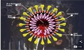 کرونای انگلیسی به استان ایلام رسید/ ۲ ‌مبتلا به کرونای جهش یافته شناسایی شد