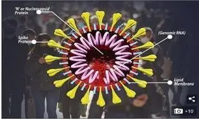 کرونای انگلیسی به استان ایلام رسید/ ۲ ‌مبتلا به کرونای جهش یافته شناسایی شد