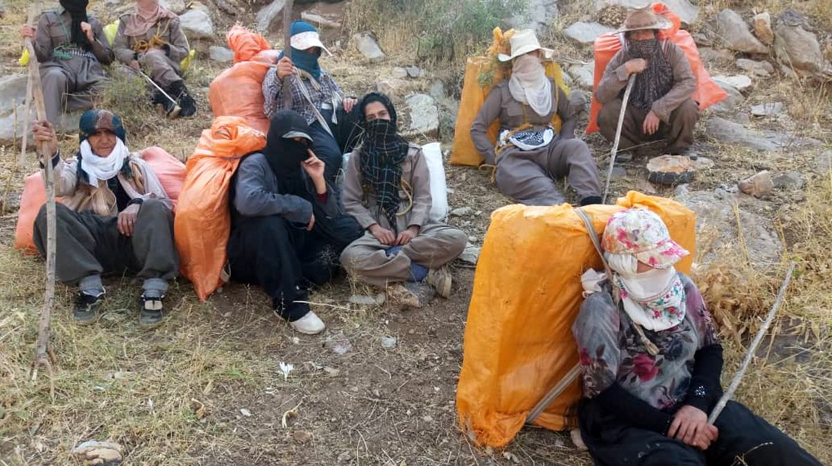 زنان کولبر صاحب شغل میشوند