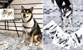 فروش چند هزار دلاری نقاشی‌های یک سگ!/ ویدئو