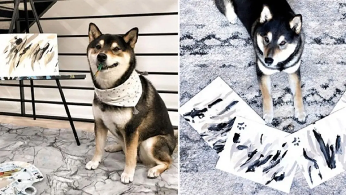 فروش چند هزار دلاری نقاشی‌های یک سگ!/ ویدئو