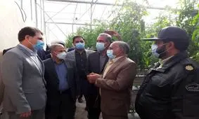 شرق کرمان زیر ذره بین توسعه