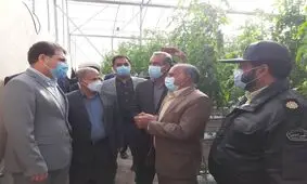 شرق کرمان زیر ذره بین توسعه