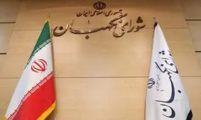 سیاست شورای نگهبان طوری است که گاهی نخ از سوزنش رد نمی‌شود، گاهی شتر از دروازه اش رد می‌شود