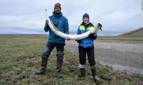 قدیمی‌ترین دی ان ای جهان کشف شد