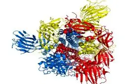 درمان سریع‌ کرونا با کمک شبیه‌سازی‌ محاسباتی