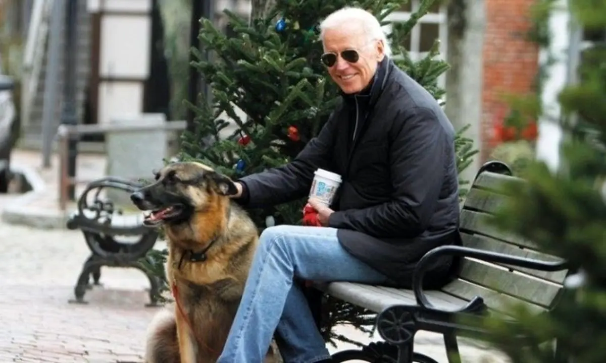 سگ‌های بزرگ خانواده بایدن در کاخ سفید/ عکس