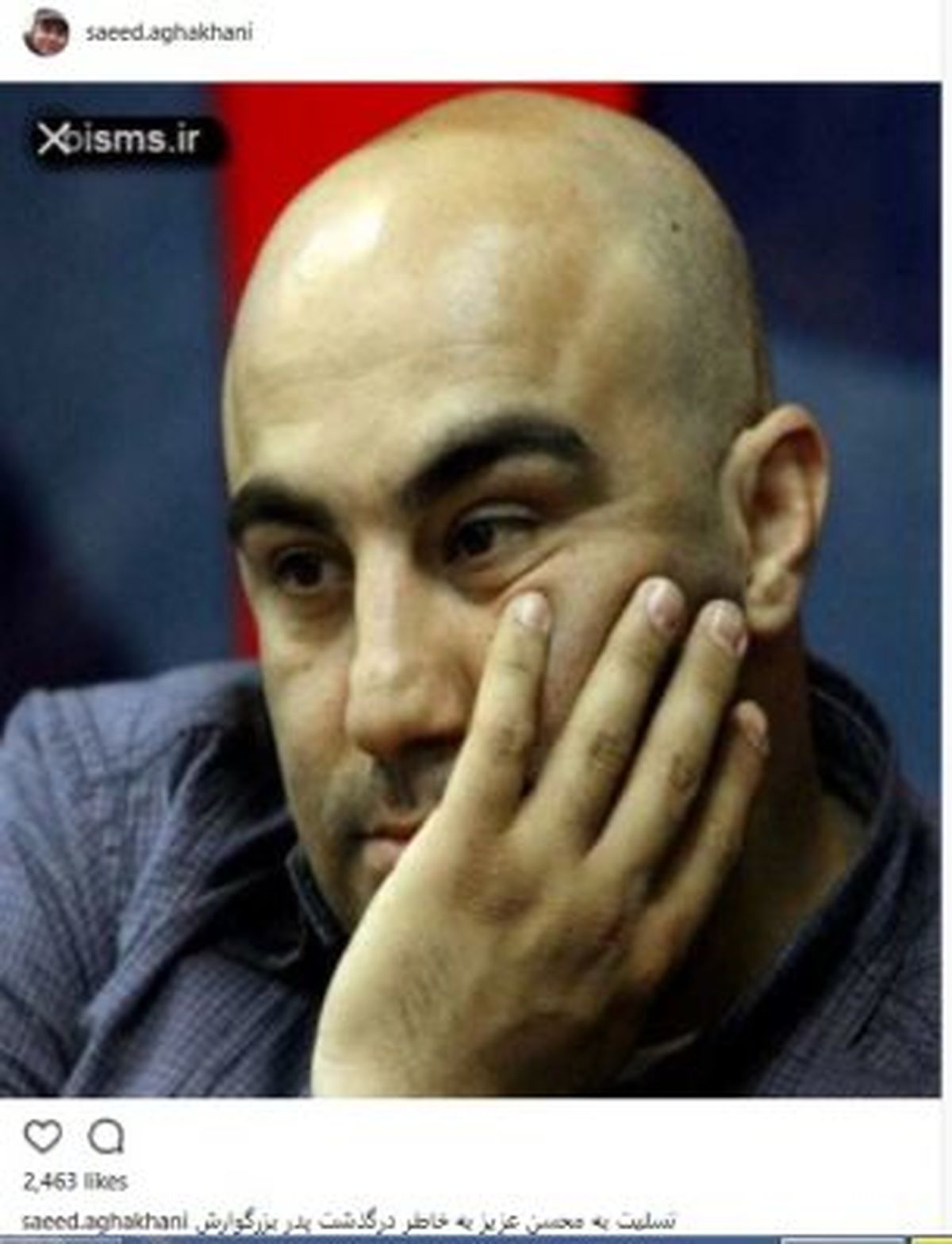 تنابنده داغدار شد