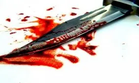 نبض قتل‌های ۹۶ در اختلافات‌خانوادگی؛ ۸۵قتل، ۷همسرکشی+ جدول